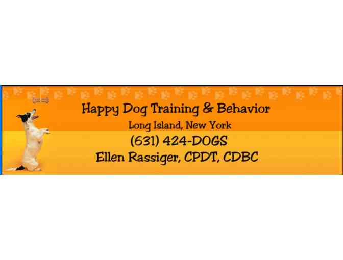 8 Week Training Course for You and Your Dog