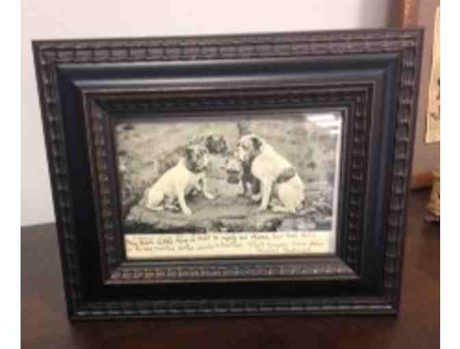 Bulldog Postcard from 1902 - Framed