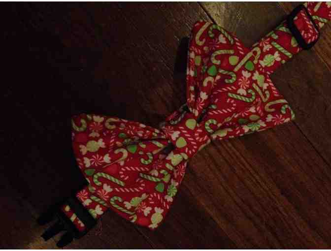 Bulldog Christmas Bow Tie and Bow collars