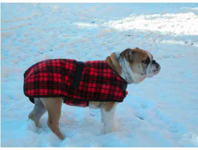 Bulldog Winter Snuggler Coat