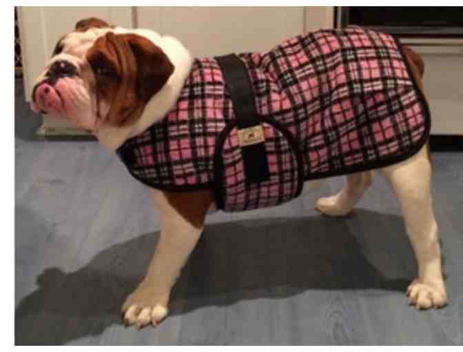 Bulldog Winter Snuggler Coat