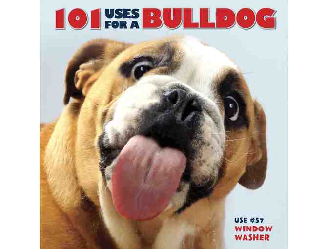 Beautiful Bulldog Bookends w/books