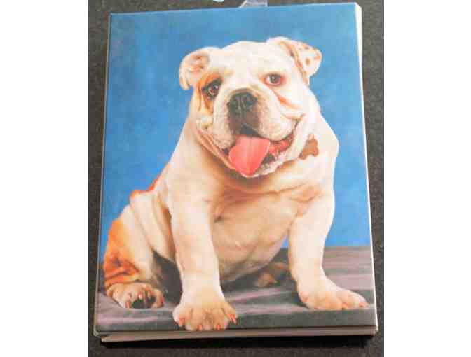 Bulldog Magnets, Note Cards & Paw Print Adhesives