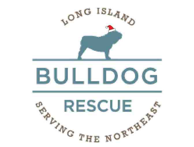 'A DAY OF RESCUE' with Long Island Bulldog Rescue