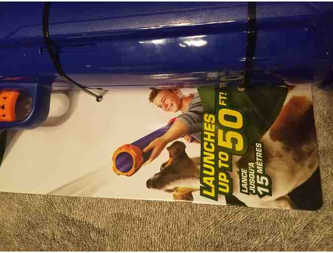 Nerf Launcher and Balls for Dogs!