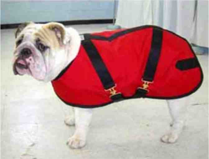 Foggy Mountain Bulldog coat