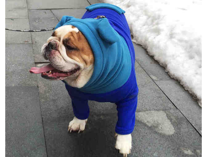 Original BatHat Hoodie for English Bulldogs - By Snorfindustries