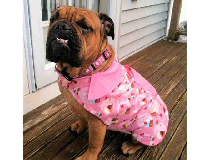 Custom Dress or Vest for your Dog - House of Henri Designs