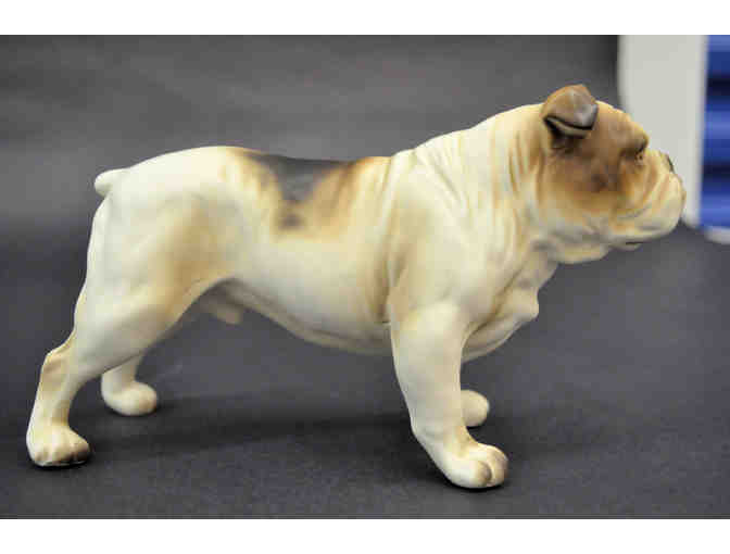 Porcelain Bulldog