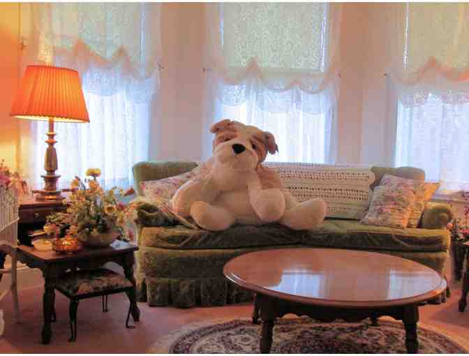 Bulldog Plush Toy GIANT! - Photo 1