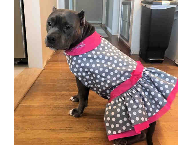 Custom Made Dress for your Pet