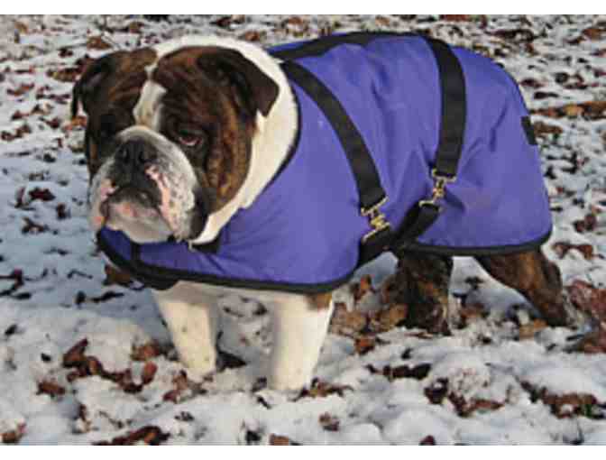 Foggy Mountain Dog Coat