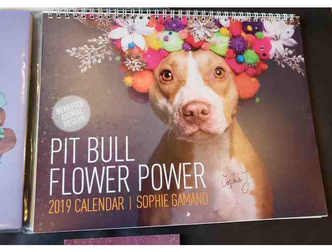 Sophie Gamand Pit Bull Power package