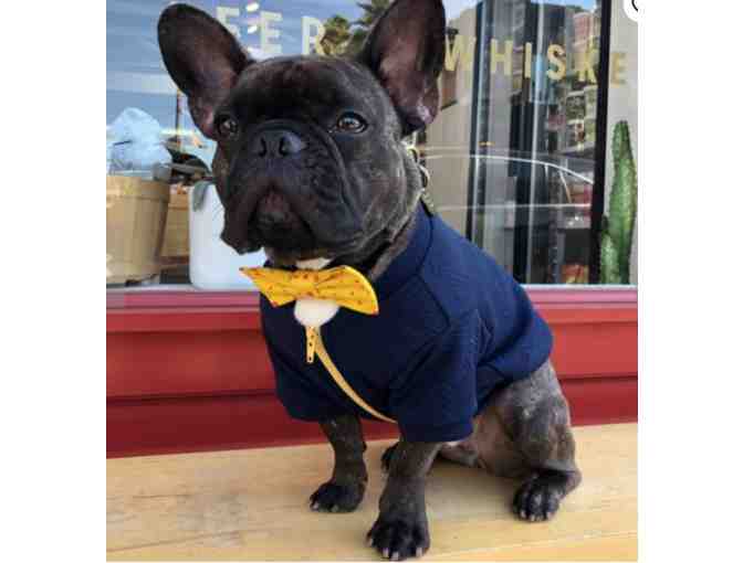 Boss Pup - for the Frenchie in your life!