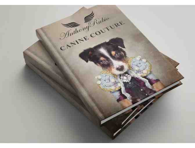 Your pet dressed in COUTURE and photographed for a coffee table book!