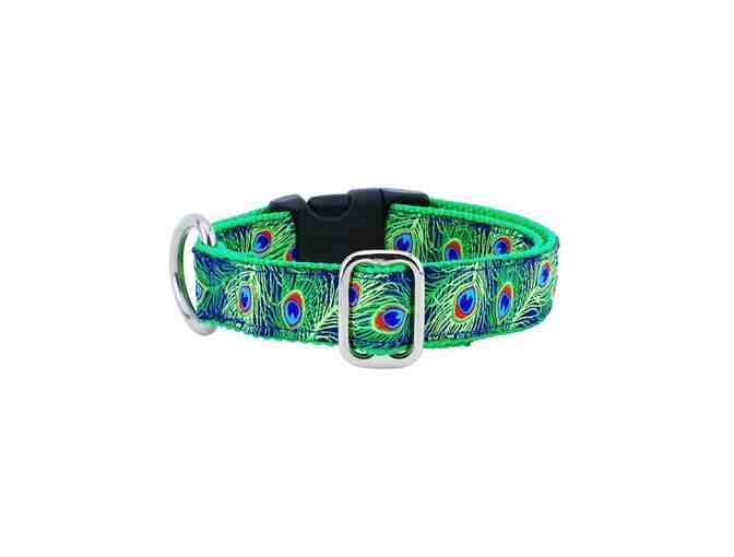 2Hounds Design Colorful Collars -  Three various designs!