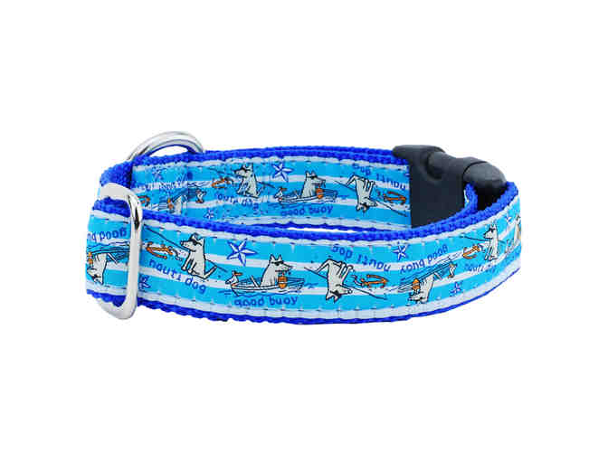 2Hounds Design Colorful Collars -  Three various designs!