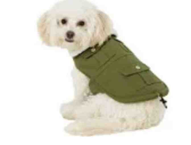Pup Crew Frenchie Coat