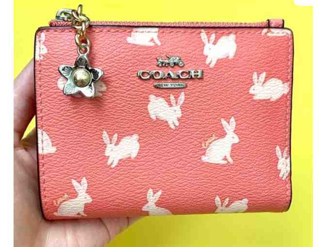 Coach Card Case / Small Wallet With Bunny Script Print