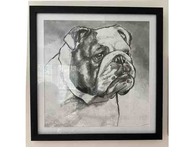 #20 Fantastic Art - Bulldog Head Study - Photo 1