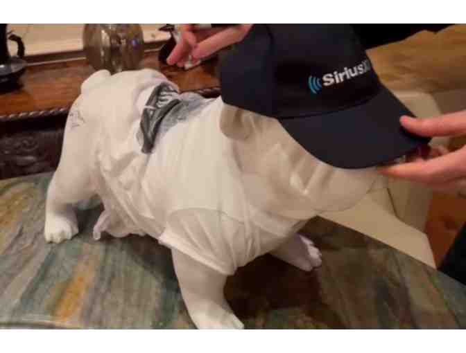 #1011 SNEAK PEAK! Howard Stern &amp; Beth Stern Autographed Fiberglass Bulldog Item #46 - Photo 4