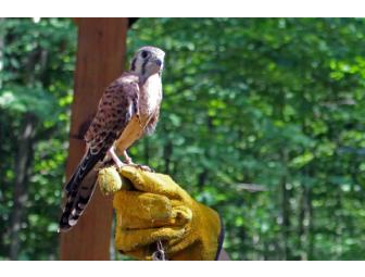 Center for Wildlife in York, Maine - tour for up to 12 people