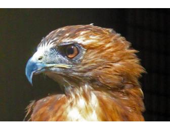 Center for Wildlife in York, Maine - tour for up to 12 people