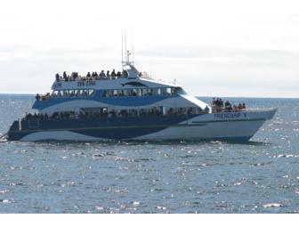 15 Lighthouses Day Cruise from Bar Harbor, Maine, on July 27, 2013 - 2 tickets