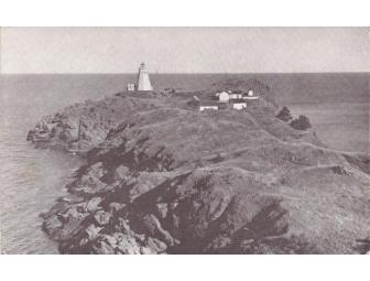 Assorted Old Lighthouse Postcards (20) - Lot 3