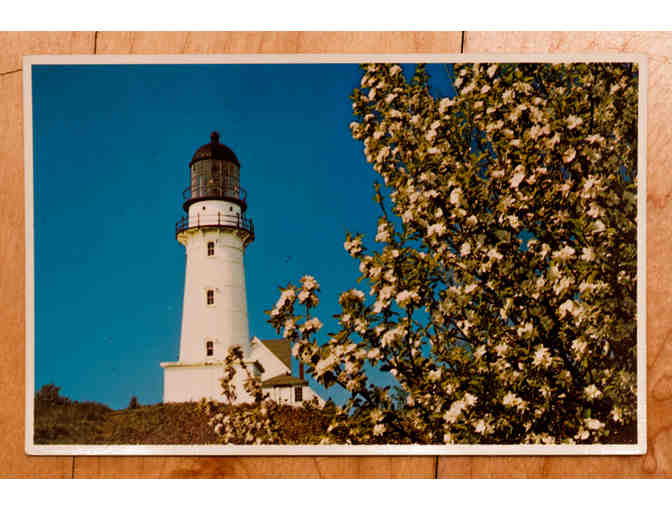 Maine Lighthouse Postcards - Lot of 10