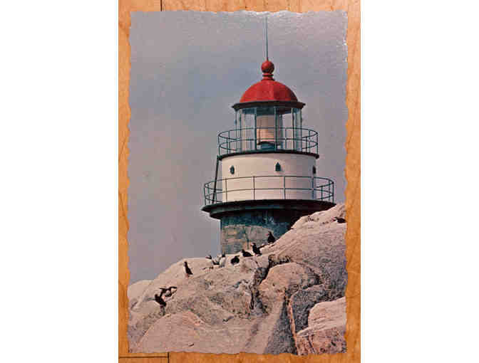 Maine Lighthouse Postcards - Lot of 10