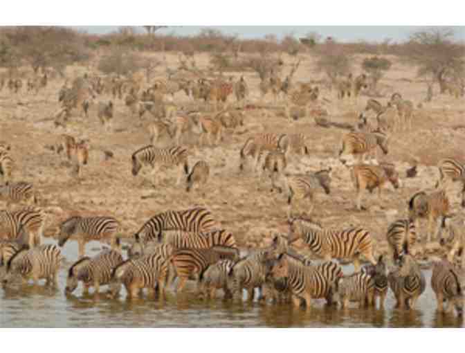 An Unforgettable African Safari