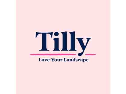 Tilly Design - One yard design package