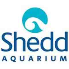 John G Shedd Aquarium