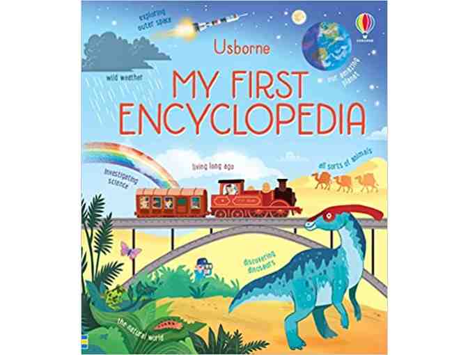 Usborne Books 5 Book Collection