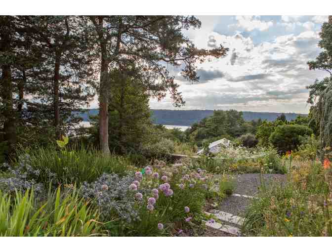 Landscape Consultation