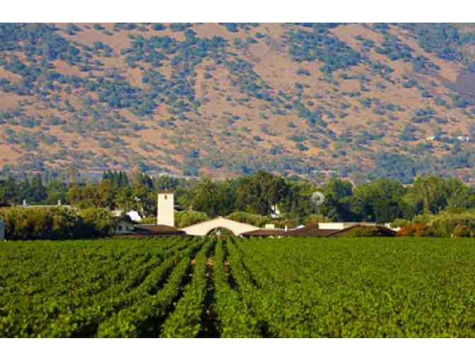 Napa Wine Tasting Tour