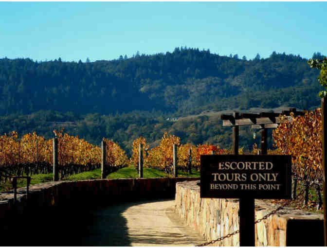 Napa Wine Tasting Tour