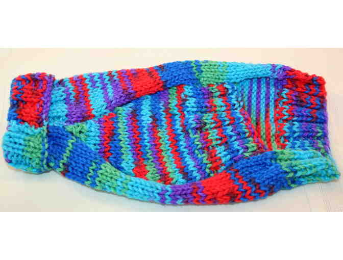 Bright Bold Colors Hand Knitted Dachshund Sweater for Mini Doxie