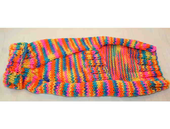 Beautiful Bright Handknit Dachshund Dog Sweater