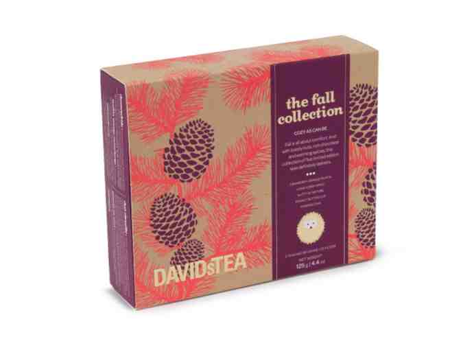 David's Tea - Fall Collection