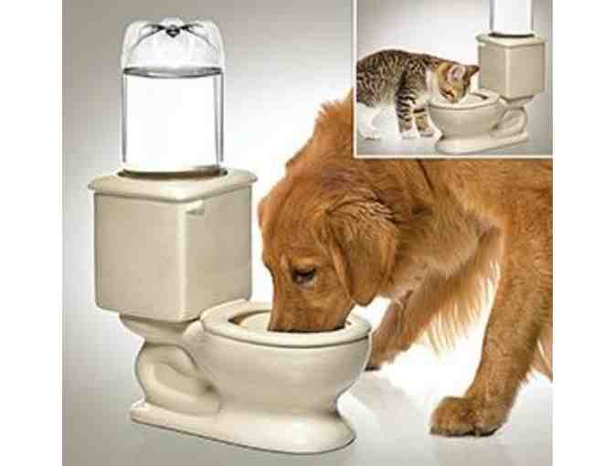 Dog & Cat Drinking Bowl