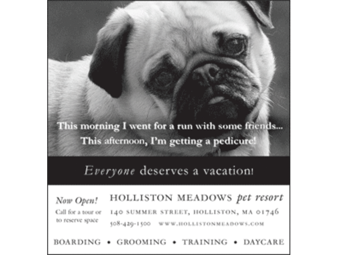 Two Night Boarding Stay at the Holliston Meadows Pet Resort (Massachusetts)