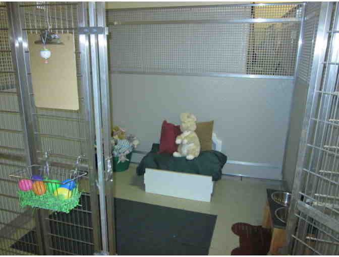 Two Night Boarding Stay at the Holliston Meadows Pet Resort (Massachusetts)