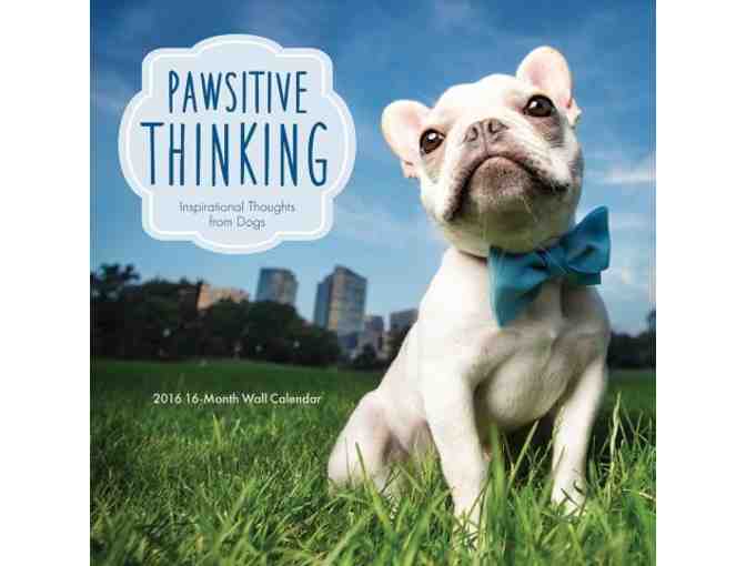 Pawsitive Thinking 2016 Wall Calendar