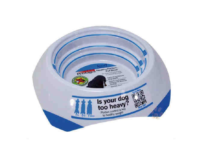 Petstages Healthy Portion 4 Cup Non-Skid Pet Food Bowl