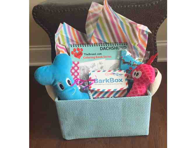 Bark Box  Gift Certificate and More  Gift Basket
