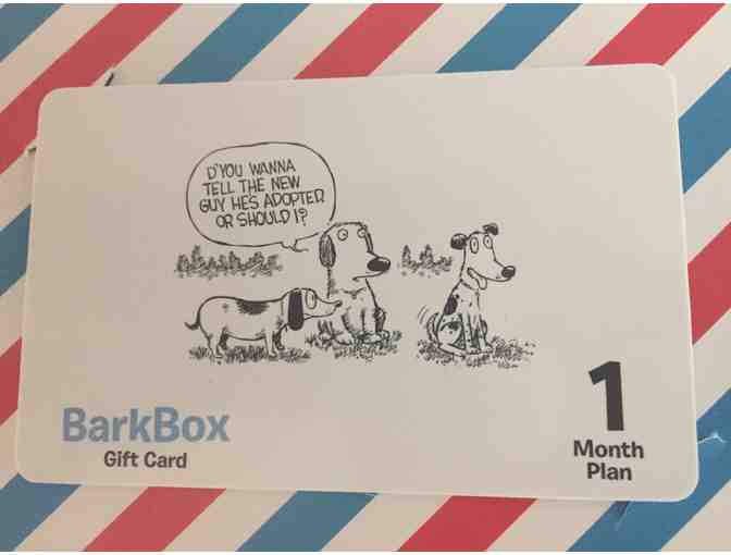 Bark Box  Gift Certificate and More  Gift Basket - Photo 2