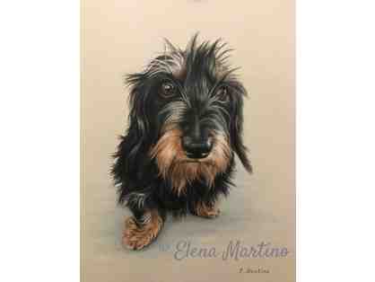 Pencil drawing of your dog - Artwork by Elena Martino