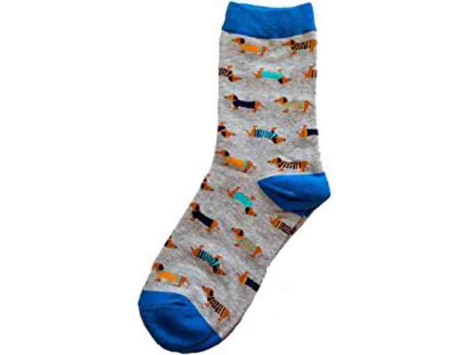 Gray and Blue Doxie Socks - Photo 1
